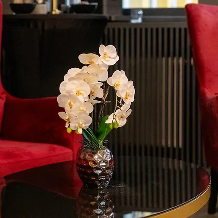 Hotel Plaza Salisburgo